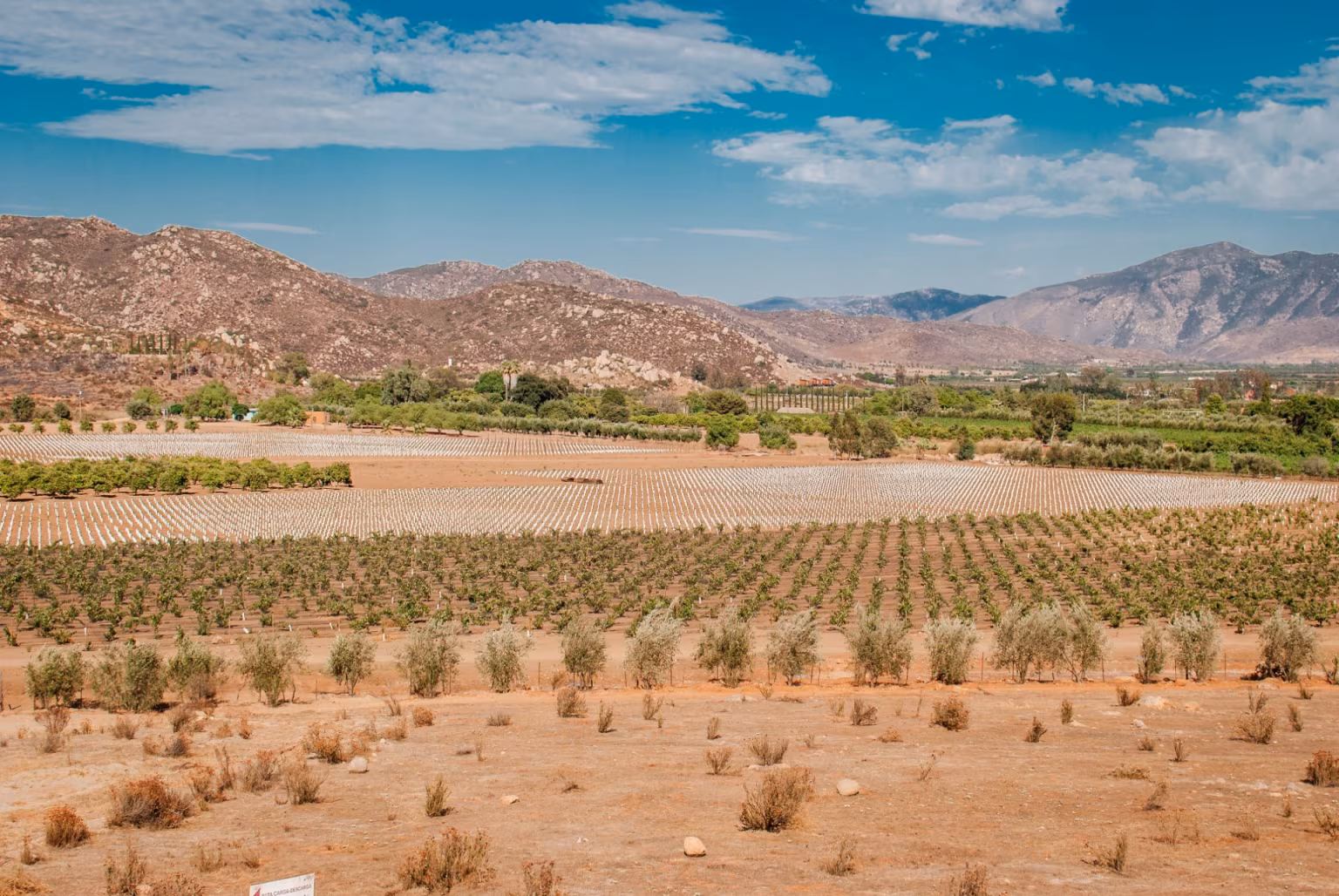 Valle de Guadalupe, Baja California